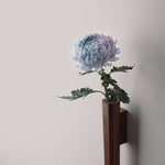 Flora Black Walnut Wall-mounted Flower Vase front view