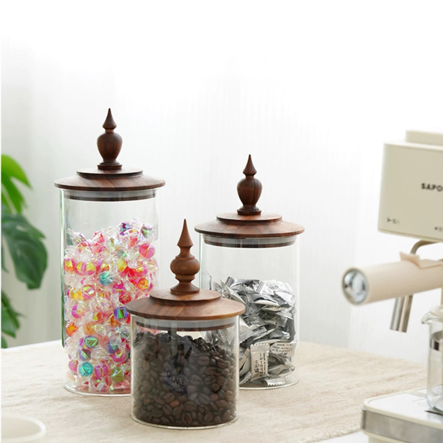 Medieval Decor Glass Canister with Walnut Wood Lid