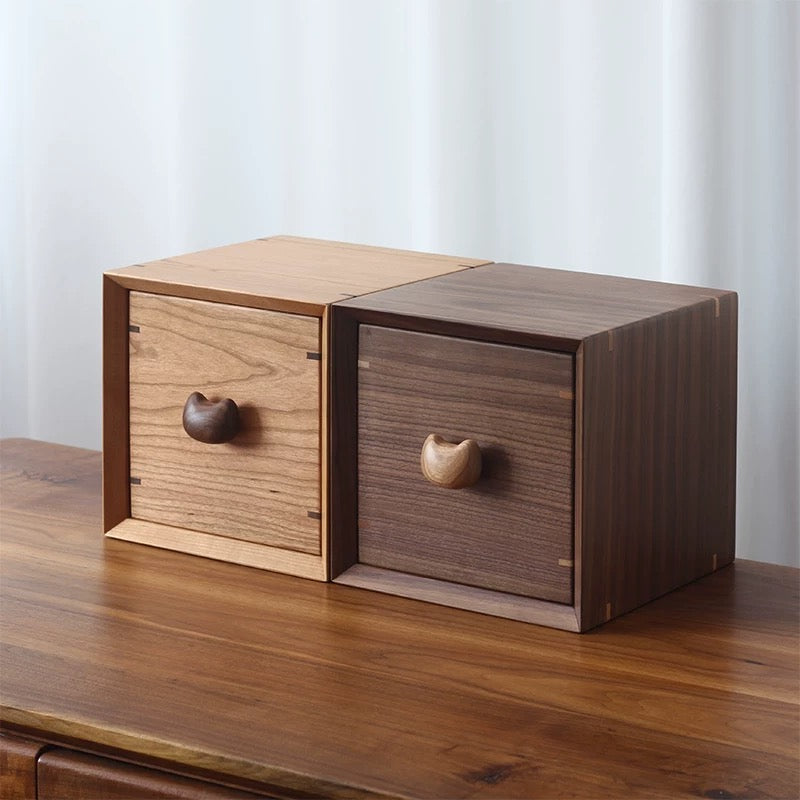 Minimalist Walnut Storage Cabinet for Kitten