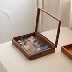 Solid walnut specimen organizer box with glass viewing lid