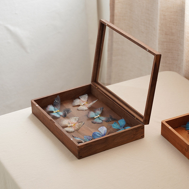 Solid walnut specimen organizer box with glass viewing lid